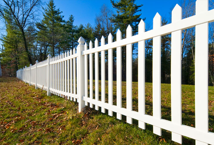 Fence Painting Services